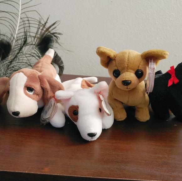 TY Beanie Babies Dog Collection NWT- See Prices!! - Picture 3 of 5